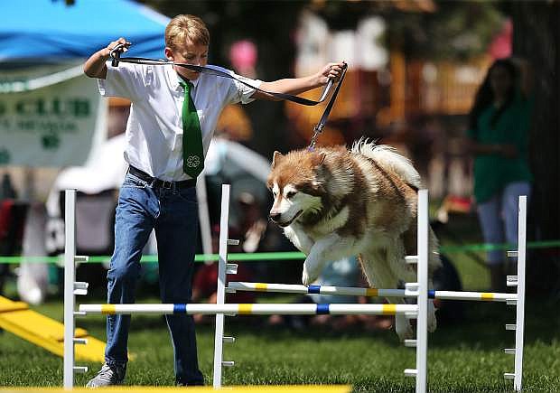 4-H member Tristin LaFever of Reno and his dog Tundra run the dog agility course at the Carson City Fair at Fuji Park in 2017.