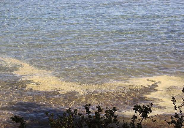 Pollen accumulates on Lake Tahoe in Sand Harbor.