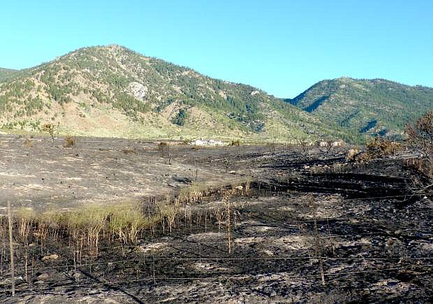 The hillside above Jacks Valley Road was blackened by a wildfire on Monday. Homes visible in the background were among those threatened in the fire.