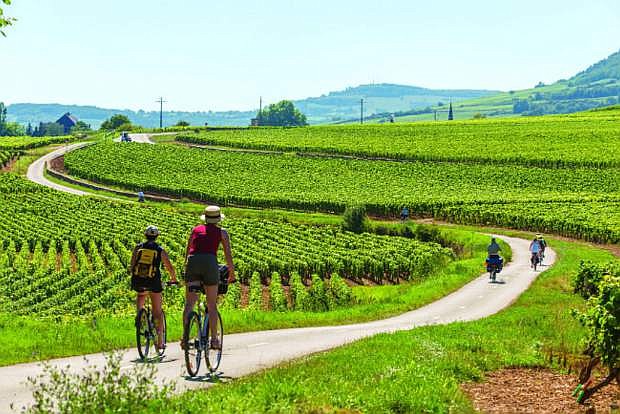 You will have the opportunity to enjoy biking in the Burgundy vineyards.