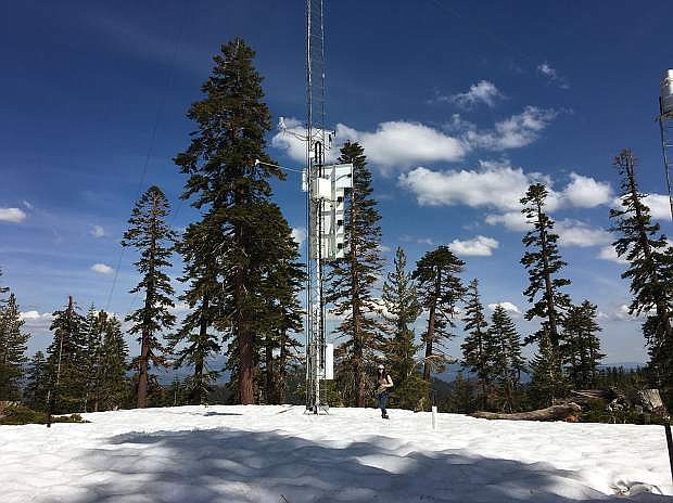 In collaboration with NASA, Rose Petersky collected snow information around weather towers in the Sagehen Creek watershed. Photo by Adrian Harpold.