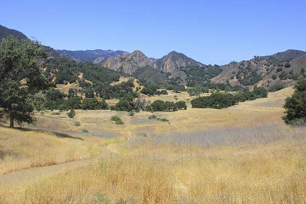 FILE - This July 1, 2018 file photo shows the the Grasslands trail at Malibu Creek State Park near Calabasas, Calif., following a relatively dry winter and several years of drought. In 2019 California is experiencing a series of winter storms that have drenched the state and covered its mountains with snow. (AP Photo/John Antczak, File)