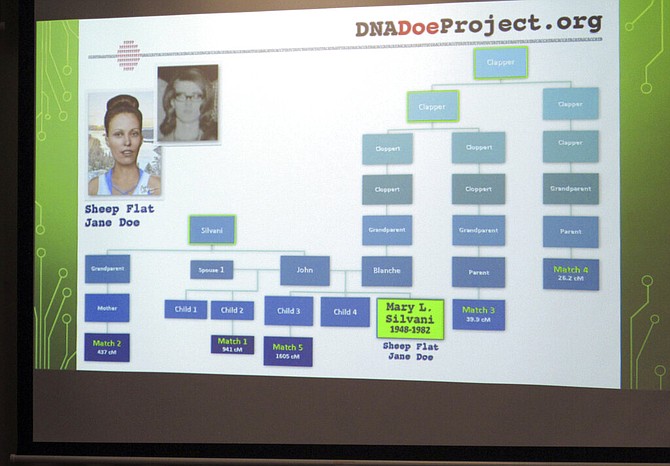 Washoe County Sheriff&#039;s investigators displayed this family tree created by the DNADoeProject during a news conference in Reno, Nev., on Tuesday, May 7, 2019, announcing that new DNA evidence determined the woman whose body was found near a hiking trail in 1982 was killed by a man who committed suicide in jail a year later after confessing to three other murders in California. The, victim previously known only as a Jane Doe, was identified as Mary Silvani, who was born in Pontiac, Mich., in 1948 and attended high school in Detroit before moving to California. (AP Photo/Scott Sonner)