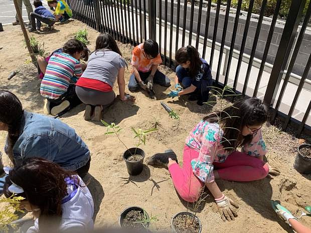 Empire Elementary School teacher Laura Ricks&#039; fifth graders recently helped to create a Monarch Waystation at the school.