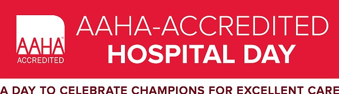American Animal Hospital Association (AAHA) Accredited Hospital Day