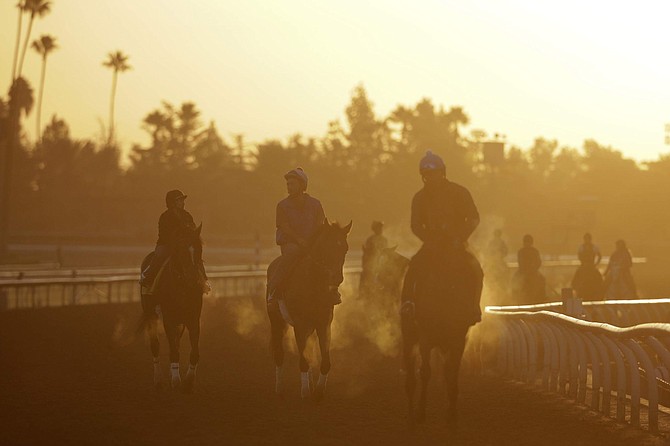FILE - In this Oct. 28, 2014, file photo, exercise riders and horses walk along the track during morning workouts for the Breeders&#039; Cup races at Santa Anita Park in Arcadia, Calif. A 3-year-old gelding was fatally injured in the fifth race at Santa Anita, becoming the 34th horse to die at the track since December. Santa Anita is set to host the Breeders&#039; Cup world championships for a record 10th time on Nov. 1-2, 2019. (AP Photo/Jae C. Hong, File)