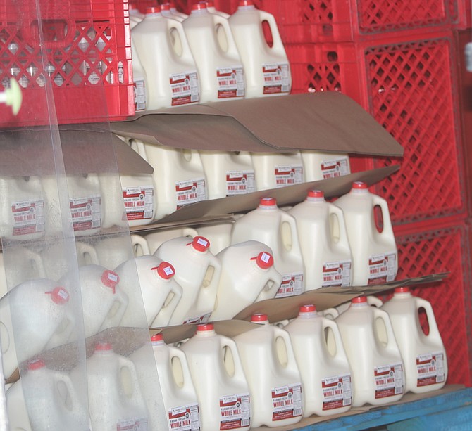 About 1,400 gallons of milk were handed out last week by Sand Hill Dairy.