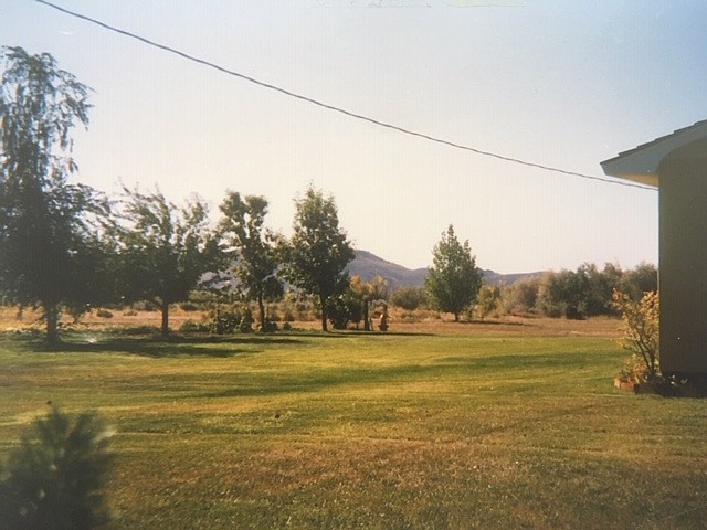 1989 view from north end