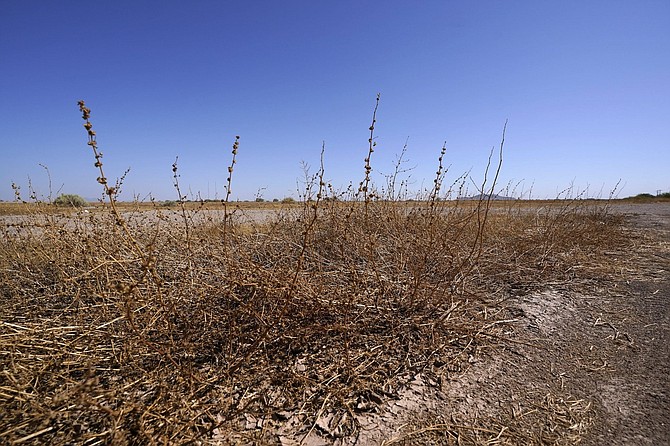 The dry desert plants due to the lack of monsoon rainfall cover the landscape, Wednesday, Sept. 30, 2020, in Maricopa, Ariz. Cities across the U.S. Southwest recorded their driest monsoon season on record this year, with many places seeing next to no rain this year. 