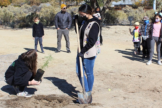 Girl Scouts plant an Austrian pine in Lone Mountain Cemetery.