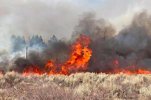 Flames burn in the Mountain Fire burning near Walker south of Gardnerville.
