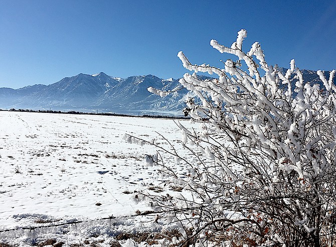 It got down to 7 degrees in Carson Valley leaving a nice coating of pogonip on Thursday morning. 