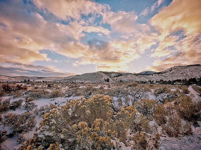 Snow among the rabbitbrush in this photo submitted on Wednesday.