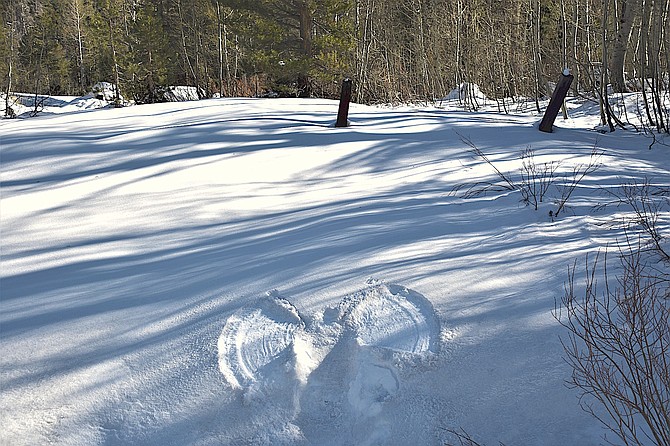 A snow angel in Hope Valley the day after Thanksgiving in a foot of snow.