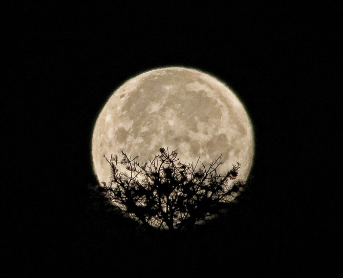 What&#039;s known as a beaver moon above Topaz Ranch Estates.