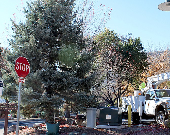 Minden workers help Genoa string the lights on Hope Falcke&#039;s tree back in October. All three towns&#039; lights will be turned on, though with less fanfare than usual.