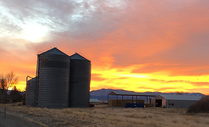 The Settelmeyer silos are silhouetted in the dawn on Friday morning as a new storm is anticipated to arrive tonight.