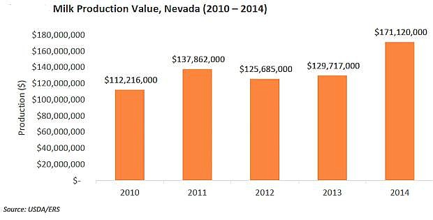 Milk production in Nevada has grown by 33 percent over the past decade, to 690 million pounds in 2014. Nevada&#039;s dairy and milk production in 2014 was estimated at $170 million, or 28 oercent of the total Nevada livestock production.