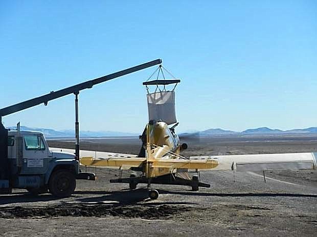 An airplane takes another load for aerial seeding after the Holloway Fire in the Winnemucca area.