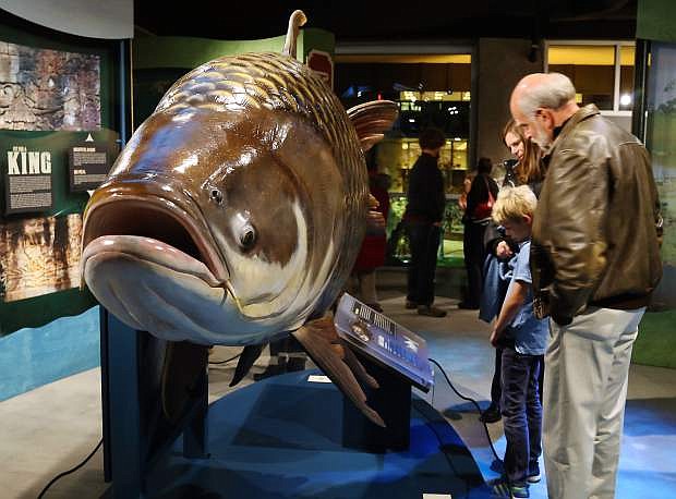 Monster Fish: In Search of the Las River Giants has been a popular attraction for all ages at The Discovery museum. The exhibit continues through Sept. 5.