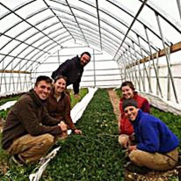 Volunteers with the Polygrarian Institute work in a high tunnel greenhouse.