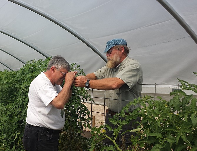 Photo of Steve Moore, Elon University, North Carolina, with a participant at a Nevada hoop house workshop.