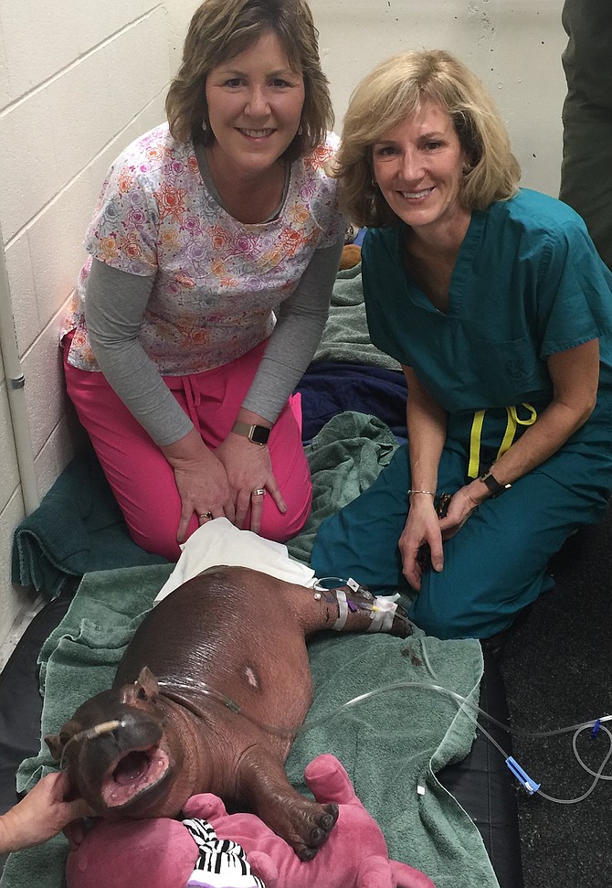 Blake Gustafson and Darcy Doellman from the Cincinnati Children&#039;s Vascular Access Team with Fiona.