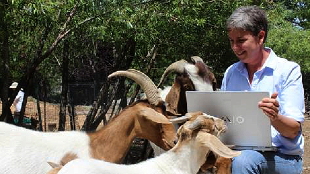 Startup EasyKeeper Herd Manager is a software-as-a-service company founded by Jean Harrison. Harrison is a longtime software developer and dairy goat expert.