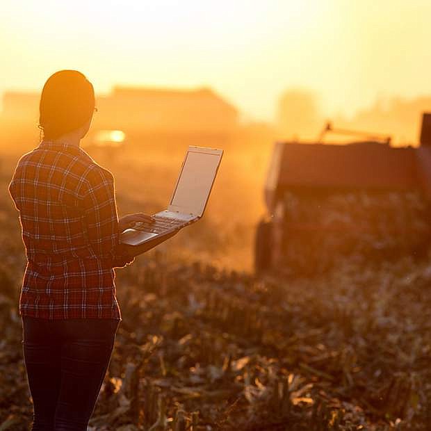 Modern technology has given a different dimension to farming.