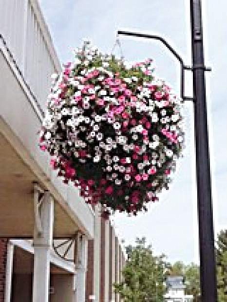 Flower-filled baskets are hung in downtown Gardnerville each summer.