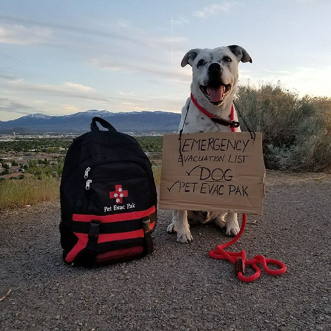 Pet Evac Pak LLC is a Reno-based company that offers emergency survival kits for pets.