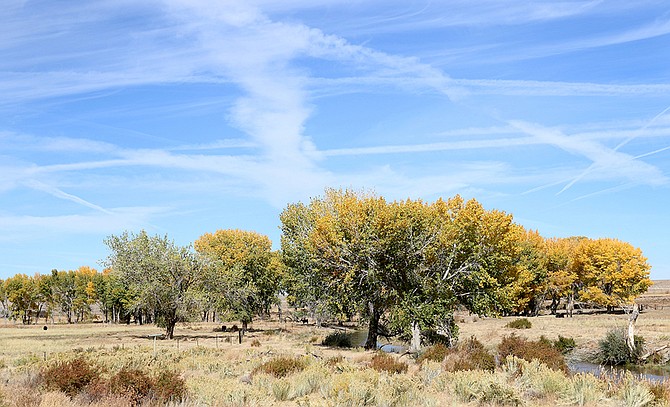 The Walker River Corridor in Mineral County includes the newly-formed Walker River State Recreation Area.